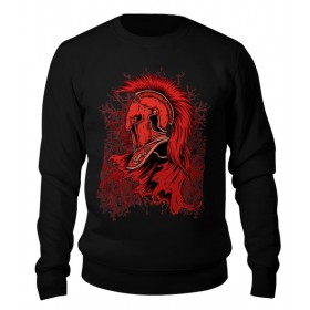 sweatshirt с принтом Legionary в Новосибирске,  |  | Тематика изображения на принте: 