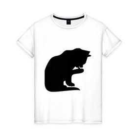 Женская футболка хлопок с принтом Котёнок умывается в Новосибирске, 100% хлопок | прямой крой, круглый вырез горловины, длина до линии бедер, слегка спущенное плечо | забавные кошки | котёнок | котёнок умывается | котята | кошки | прикольные кошки