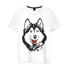 Мужская футболка хлопок с принтом Хаски в Новосибирске, 100% хлопок | прямой крой, круглый вырез горловины, длина до линии бедер, слегка спущенное плечо. | dog | husky | животные | пес | песики | собака | хаски | хаски бандит