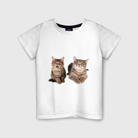 Детская футболка хлопок с принтом Котёнок и кошка в Новосибирске, 100% хлопок | круглый вырез горловины, полуприлегающий силуэт, длина до линии бедер | киса | котенок | котик | кошка