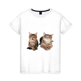 Женская футболка хлопок с принтом Кошка и котёнок в Новосибирске, 100% хлопок | прямой крой, круглый вырез горловины, длина до линии бедер, слегка спущенное плечо | 