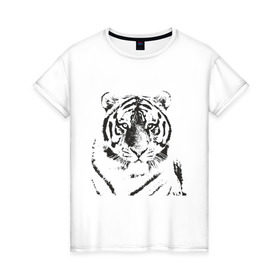 Женская футболка хлопок с принтом Tiger (3) в Новосибирске, 100% хлопок | прямой крой, круглый вырез горловины, длина до линии бедер, слегка спущенное плечо | tiger | животные | тигр | хищник