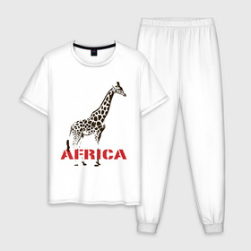Мужская пижама хлопок с принтом Africa в Новосибирске, 100% хлопок | брюки и футболка прямого кроя, без карманов, на брюках мягкая резинка на поясе и по низу штанин
 | africa | giraffa | safari | африка | животные | жираф | сафари