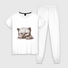 Женская пижама хлопок с принтом Самый милый котёнок в Новосибирске, 100% хлопок | брюки и футболка прямого кроя, без карманов, на брюках мягкая резинка на поясе и по низу штанин | домашние животные | кот | котенок | котик | коты | кошка | кошки | милый котенок