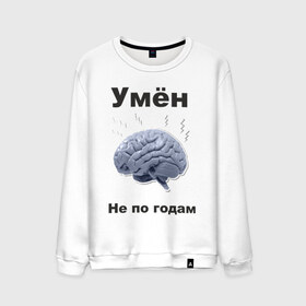 Мужской свитшот хлопок с принтом Умён не по годам в Новосибирске, 100% хлопок |  | мозг | мозги | разум | светлый ум | ум