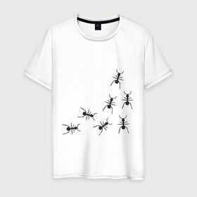 Мужская футболка хлопок с принтом муравьи в Новосибирске, 100% хлопок | прямой крой, круглый вырез горловины, длина до линии бедер, слегка спущенное плечо. | животные | звери | насекомые