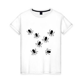 Женская футболка хлопок с принтом пауки в Новосибирске, 100% хлопок | прямой крой, круглый вырез горловины, длина до линии бедер, слегка спущенное плечо | животные | насекомые | паучки