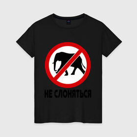 Женская футболка хлопок с принтом Не слоняться в Новосибирске, 100% хлопок | прямой крой, круглый вырез горловины, длина до линии бедер, слегка спущенное плечо | слон