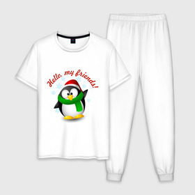 Мужская пижама хлопок с принтом Hello my Friends в Новосибирске, 100% хлопок | брюки и футболка прямого кроя, без карманов, на брюках мягкая резинка на поясе и по низу штанин
 | пингвин