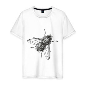 Мужская футболка хлопок с принтом Назойливая муха в Новосибирске, 100% хлопок | прямой крой, круглый вырез горловины, длина до линии бедер, слегка спущенное плечо. | животные | муха | назойливая | назойливая муха | прикольные картинки