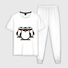 Мужская пижама хлопок с принтом Банда пингвинов в Новосибирске, 100% хлопок | брюки и футболка прямого кроя, без карманов, на брюках мягкая резинка на поясе и по низу штанин
 | в очках | животные | звери | пингвины