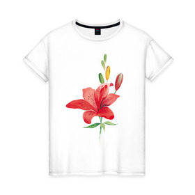 Женская футболка хлопок с принтом Red lily в Новосибирске, 100% хлопок | прямой крой, круглый вырез горловины, длина до линии бедер, слегка спущенное плечо | 8 марта | букет | красная лилия | лилия | международный женский день | цветы