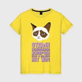 Женская футболка хлопок с принтом Отдых без WIFI в Новосибирске, 100% хлопок | прямой крой, круглый вырез горловины, длина до линии бедер, слегка спущенное плечо | интернет приколы | кот мем | недовольный кот | нет wi fi | нет вай фай | отдых испорчен | хмурый кот