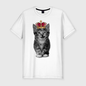 Мужская футболка премиум с принтом Meow kitten в Новосибирске, 92% хлопок, 8% лайкра | приталенный силуэт, круглый вырез ворота, длина до линии бедра, короткий рукав | kitten | meow | meow kitten | киса | кот | котик | котэ | котяра | кошка | прикольный кот