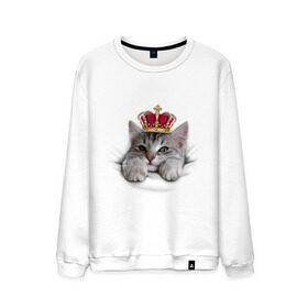 Мужской свитшот хлопок с принтом Pretty kitten в Новосибирске, 100% хлопок |  | kitten | meow | meow kitten | киса | корона | корона на голове кота | кот | кот с короной | котик | котэ | котяра | кошка | прикольный кот