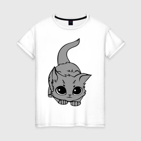 Женская футболка хлопок с принтом Котенок в Новосибирске, 100% хлопок | прямой крой, круглый вырез горловины, длина до линии бедер, слегка спущенное плечо | домашние животные | кот | коты | кошка | кошки