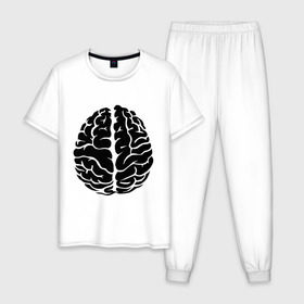 Мужская пижама хлопок с принтом Он - мозг в Новосибирске, 100% хлопок | брюки и футболка прямого кроя, без карманов, на брюках мягкая резинка на поясе и по низу штанин
 | голова | левое и правое полушарие | мозг | он   мозг | открытый мозг | парные | полушарие мозга