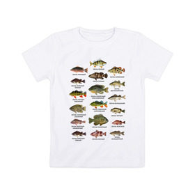 Детская футболка хлопок с принтом Окуни. в Новосибирске, 100% хлопок | круглый вырез горловины, полуприлегающий силуэт, длина до линии бедер | для рыбака | окуни | окунь | подарок рыбаку | рыбаку | рыбалка