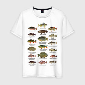 Мужская футболка хлопок с принтом Окуни. в Новосибирске, 100% хлопок | прямой крой, круглый вырез горловины, длина до линии бедер, слегка спущенное плечо. | для рыбака | окуни | окунь | подарок рыбаку | рыбаку | рыбалка