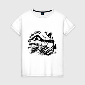 Женская футболка хлопок с принтом Образ кошки в Новосибирске, 100% хлопок | прямой крой, круглый вырез горловины, длина до линии бедер, слегка спущенное плечо | киса | котенок | кошка