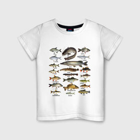 Детская футболка хлопок с принтом Популярные виды рыб в Новосибирске, 100% хлопок | круглый вырез горловины, полуприлегающий силуэт, длина до линии бедер | рыба | рыбалка | рыбачить | туризм | туристические | туристу | улов