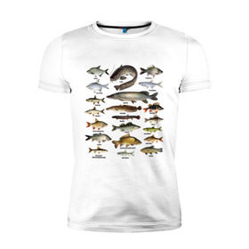Мужская футболка премиум с принтом Популярные виды рыб в Новосибирске, 92% хлопок, 8% лайкра | приталенный силуэт, круглый вырез ворота, длина до линии бедра, короткий рукав | рыба | рыбалка | рыбачить | туризм | туристические | туристу | улов