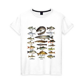 Женская футболка хлопок с принтом Популярные виды рыб в Новосибирске, 100% хлопок | прямой крой, круглый вырез горловины, длина до линии бедер, слегка спущенное плечо | Тематика изображения на принте: рыба | рыбалка | рыбачить | туризм | туристические | туристу | улов