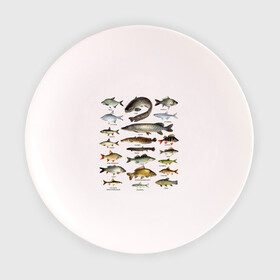 Тарелка 3D с принтом Популярные виды рыб в Новосибирске, фарфор | диаметр - 210 мм
диаметр для нанесения принта - 120 мм | рыба | рыбалка | рыбачить | туризм | туристические | туристу | улов