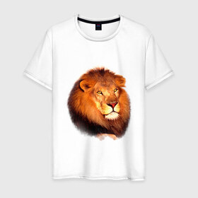Мужская футболка хлопок с принтом Лев в Новосибирске, 100% хлопок | прямой крой, круглый вырез горловины, длина до линии бедер, слегка спущенное плечо. | animals | lion | mountain | животные | лев | прикольные картинки