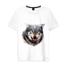 Мужская футболка хлопок с принтом Волк в Новосибирске, 100% хлопок | прямой крой, круглый вырез горловины, длина до линии бедер, слегка спущенное плечо. | animals | mountain | wolf | волк | животные | прикольные картинки