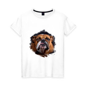 Женская футболка хлопок с принтом Бульдог в Новосибирске, 100% хлопок | прямой крой, круглый вырез горловины, длина до линии бедер, слегка спущенное плечо | animals | dog | mountain | бульдог | животные | прикольные картинки | собака