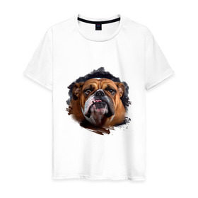Мужская футболка хлопок с принтом Бульдог в Новосибирске, 100% хлопок | прямой крой, круглый вырез горловины, длина до линии бедер, слегка спущенное плечо. | animals | dog | mountain | бульдог | животные | прикольные картинки | собака