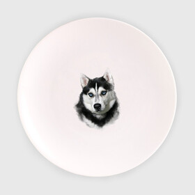 Тарелка 3D с принтом Хаски в Новосибирске, фарфор | диаметр - 210 мм
диаметр для нанесения принта - 120 мм | Тематика изображения на принте: animals | dog | mountain | животные | прикольные картинки | собака | хаски