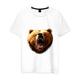 Мужская футболка хлопок с принтом Медведь в Новосибирске, 100% хлопок | прямой крой, круглый вырез горловины, длина до линии бедер, слегка спущенное плечо. | animals | bear | mountain | животные | медведь | прикольные картинки