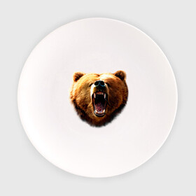 Тарелка с принтом Медведь в Новосибирске, фарфор | диаметр - 210 мм
диаметр для нанесения принта - 120 мм | animals | bear | mountain | животные | медведь | прикольные картинки