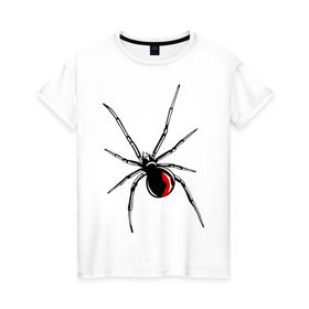 Женская футболка хлопок с принтом Черная вдова в Новосибирске, 100% хлопок | прямой крой, круглый вырез горловины, длина до линии бедер, слегка спущенное плечо | паук | тарантул | черная вдова | черная вдованасекомые