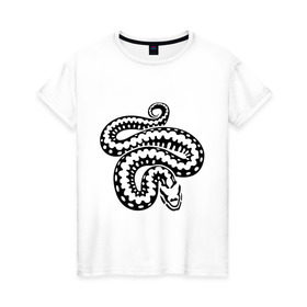 Женская футболка хлопок с принтом Силуэт змеи в Новосибирске, 100% хлопок | прямой крой, круглый вырез горловины, длина до линии бедер, слегка спущенное плечо | животные | змеиная кожа | змея | прикольные картинки | силуэт змеи