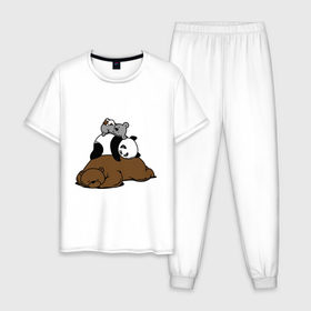 Мужская пижама хлопок с принтом comfort bed - комфортный медведь в Новосибирске, 100% хлопок | брюки и футболка прямого кроя, без карманов, на брюках мягкая резинка на поясе и по низу штанин
 | панда