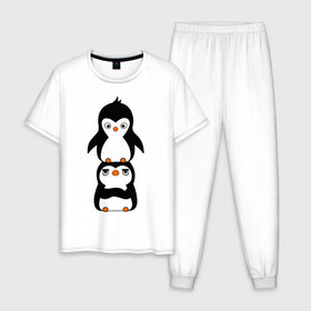 Мужская пижама хлопок с принтом Пингвины в Новосибирске, 100% хлопок | брюки и футболка прямого кроя, без карманов, на брюках мягкая резинка на поясе и по низу штанин
 | Тематика изображения на принте: 14 февраля | влюбленным | пингвины | прикольные картинки
