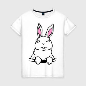 Женская футболка хлопок с принтом Зайчик в кармашке в Новосибирске, 100% хлопок | прямой крой, круглый вырез горловины, длина до линии бедер, слегка спущенное плечо | белый кролик | животные | зайка | зайчик в кармашке | кролик