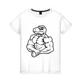 Женская футболка хлопок с принтом Раптор-силач в Новосибирске, 100% хлопок | прямой крой, круглый вырез горловины, длина до линии бедер, слегка спущенное плечо | бицепс | бодибилдер | качок | раптор | силач. динозавр | спортсмен