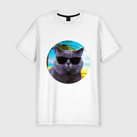 Мужская футболка премиум с принтом Котэ на пляже в Новосибирске, 92% хлопок, 8% лайкра | приталенный силуэт, круглый вырез ворота, длина до линии бедра, короткий рукав | кот | котэ | лето | мем | очки | пальма | пляж | солнце