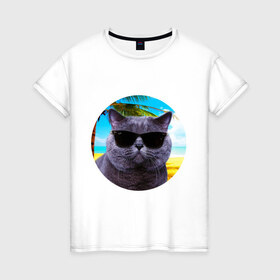 Женская футболка хлопок с принтом Котэ на пляже в Новосибирске, 100% хлопок | прямой крой, круглый вырез горловины, длина до линии бедер, слегка спущенное плечо | кот | котэ | лето | мем | очки | пальма | пляж | солнце