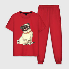 Мужская пижама хлопок с принтом Радостный мопс в Новосибирске, 100% хлопок | брюки и футболка прямого кроя, без карманов, на брюках мягкая резинка на поясе и по низу штанин
 | милый | мопс | пес | радостная | собака