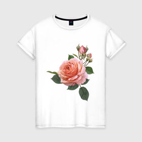 Женская футболка хлопок с принтом Розовая роза в Новосибирске, 100% хлопок | прямой крой, круглый вырез горловины, длина до линии бедер, слегка спущенное плечо | Тематика изображения на принте: девушкам | розовая роза | цветок