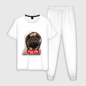 Мужская пижама хлопок с принтом Pug life в Новосибирске, 100% хлопок | брюки и футболка прямого кроя, без карманов, на брюках мягкая резинка на поясе и по низу штанин
 | pug life | жизнь | капюшон | мопс | собака