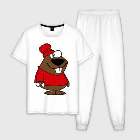 Мужская пижама хлопок с принтом Бобер в Новосибирске, 100% хлопок | брюки и футболка прямого кроя, без карманов, на брюках мягкая резинка на поясе и по низу штанин
 | бобер | бобр