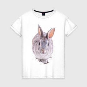 Женская футболка хлопок с принтом Кролик в Новосибирске, 100% хлопок | прямой крой, круглый вырез горловины, длина до линии бедер, слегка спущенное плечо | заяц | кролик | крольчёнок | крольчишка