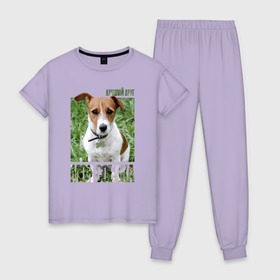 Женская пижама хлопок с принтом Джек-рассел-терьер в Новосибирске, 100% хлопок | брюки и футболка прямого кроя, без карманов, на брюках мягкая резинка на поясе и по низу штанин | drug | джек рассел терьер | порода | собака