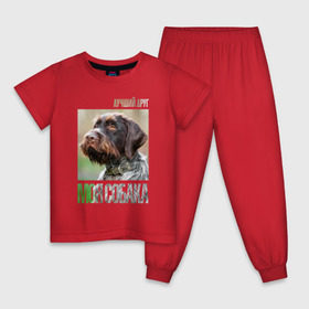 Детская пижама хлопок с принтом Дратхаар, лучший, друг, собака в Новосибирске, 100% хлопок |  брюки и футболка прямого кроя, без карманов, на брюках мягкая резинка на поясе и по низу штанин
 | drug | дратхаар | порода | собака
